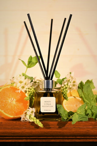 The Soap Nut - Minty Citrus Reed Diffuser