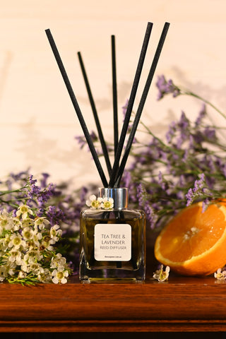The Soap Nut - Tea Tree Lavender Reed Diffuser