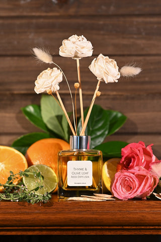 The Soap Nut - Thyme & Olive Leaf Reed Diffuser