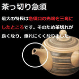 Tokoname Ware Japanese Teapot by Tamakitsu (Black large size)