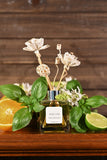 The Soap Nut - Basil Lime Reed Diffuser