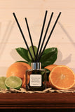 The Soap Nut - Crushed Lime & Sea Salt Reed Diffuser