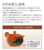 Tokoname Ware Green Leaf Japanese Tea Pot