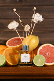 The Soap Nut - Simply Citrus Reed Diffuser